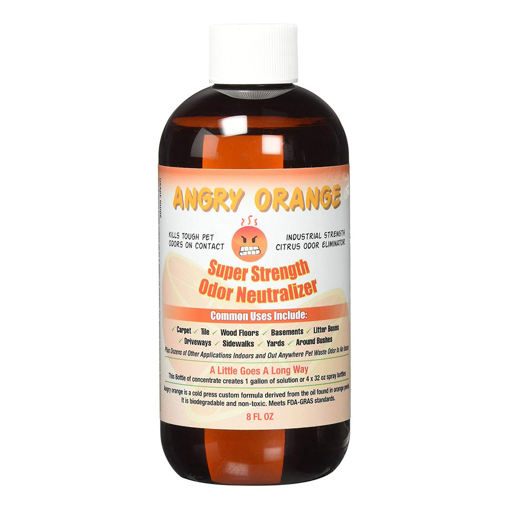 Amazon rollup Thrasio acquired Angry Orange, a pet odor eliminator, and turned it into an overnight success