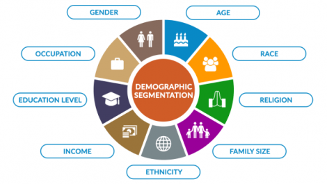 segmentation demographic demographics factors pickfu selling