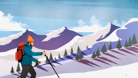 
A picture of a man with an orange hat cross country skiing in the mountains with trees in the background.