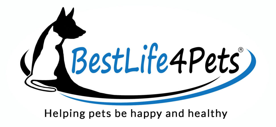 Which One Won: pet supplement tagline