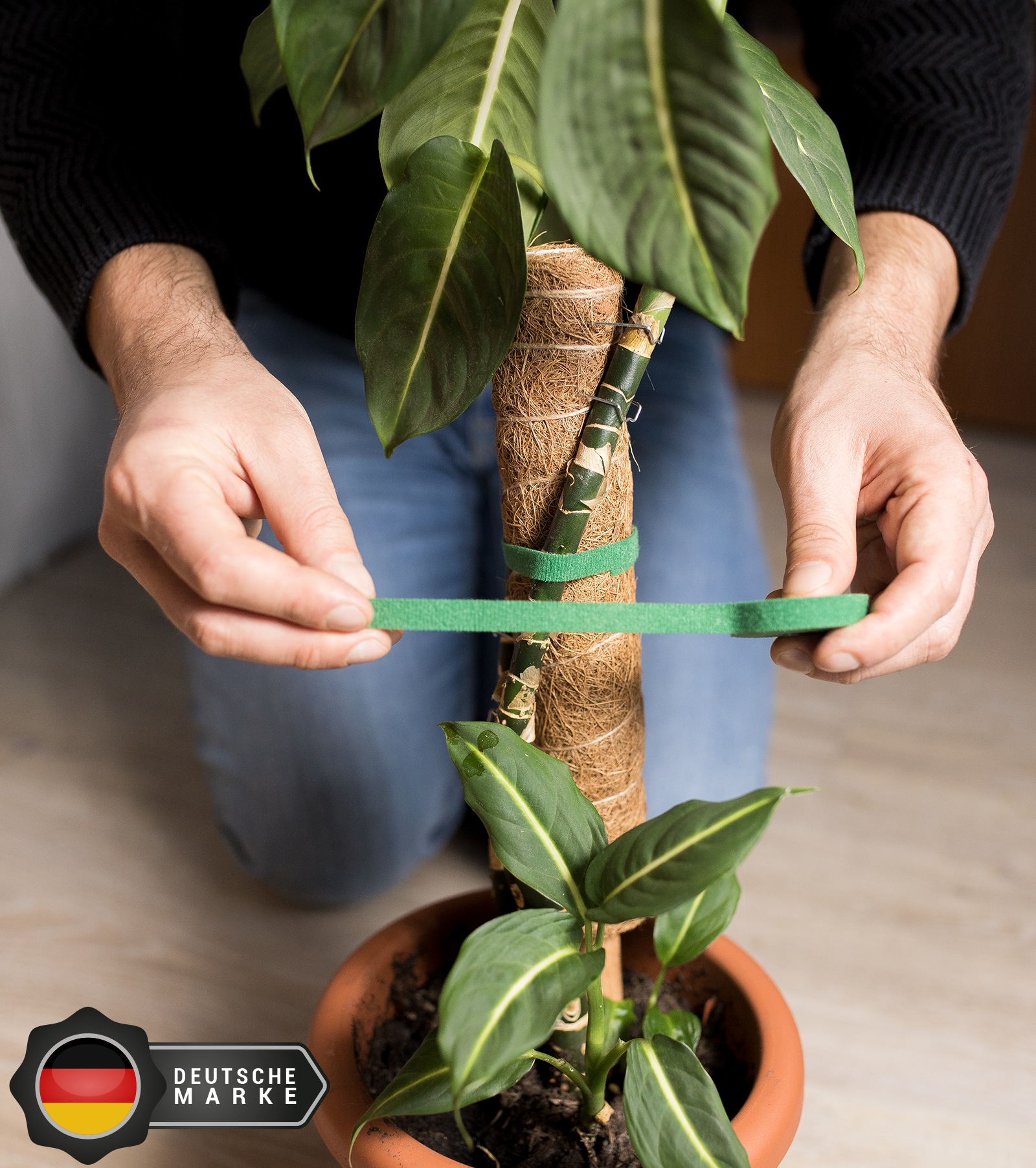 The winning image from a PickFu poll, showing plant tape being secured to a plant