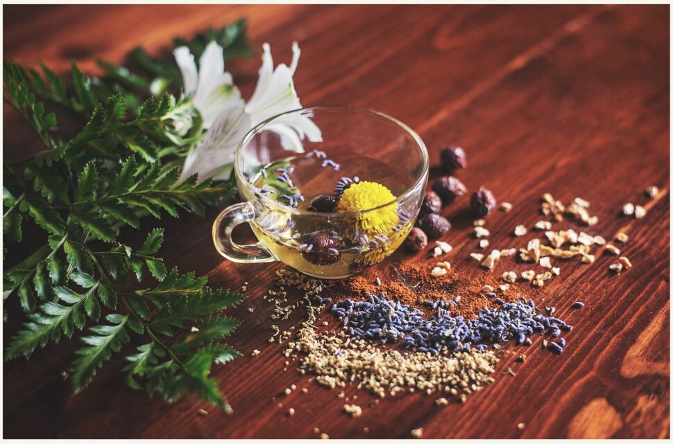 A small clear cup of tea surrounded with different herbs and plants. 