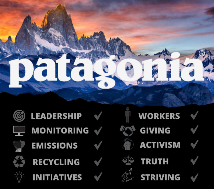 Biggest branding mistakes: A Patagonia ad presenting the company's values. 