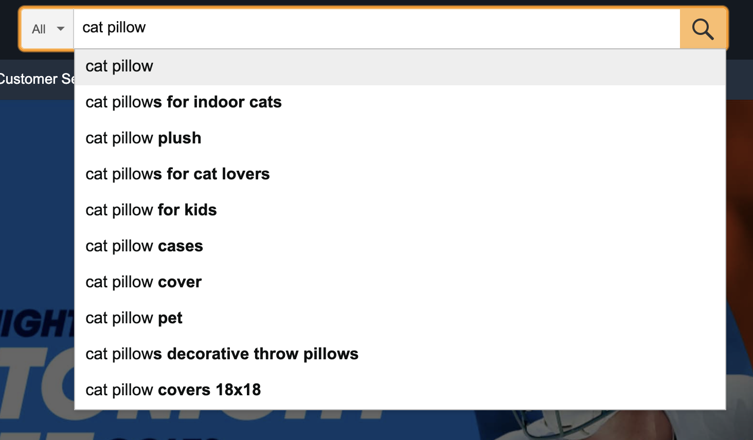 screenshot of Amazon search bar for cat pillows