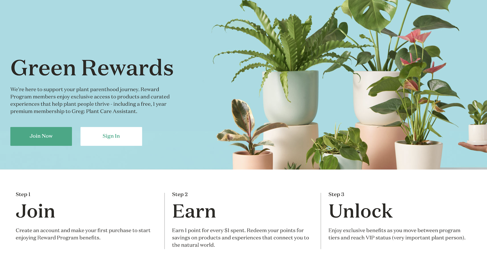The Sill offers a tiered loyalty program for its plant-loving customers